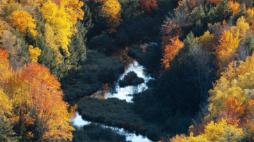 demo-attachment-676-claudiu-pusuc-p-4