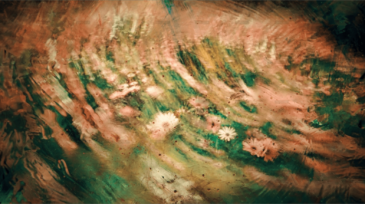 demo-attachment-678-claudiu-pusuc-p-8